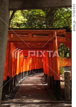伏見稲荷大社 千本鳥居 伏見稲荷大社 千本鳥居 5785435