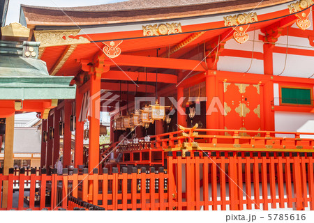 伏見稲荷大社　本殿 5785616