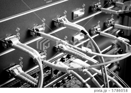 network cables 5786058