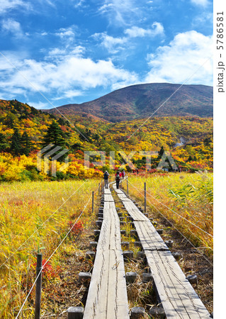 岩手　一関市　秋田　東成瀬村　栗駒山　名残ヶ原 5786581
