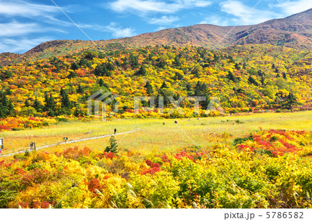 岩手　一関市　秋田　東成瀬村　栗駒山　名残ヶ原 5786582