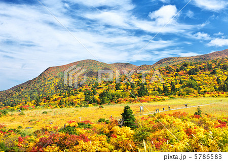 岩手 一関市 秋田 東成瀬村 栗駒山 名残ヶ原 岩手 一関市 秋田 東成瀬村 栗駒山 名残ヶ原 5786583