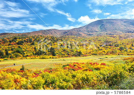 岩手 一関市 秋田 東成瀬村 栗駒山 名残ヶ原 岩手 一関市 秋田 東成瀬村 栗駒山 名残ヶ原 5786584