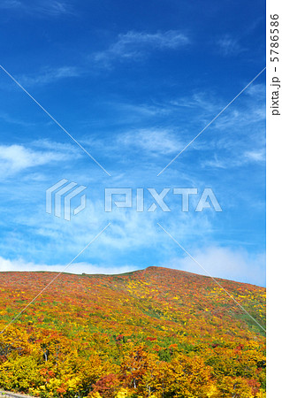 宮城 栗原市 栗駒山 宮城 栗原市 栗駒山 5786586