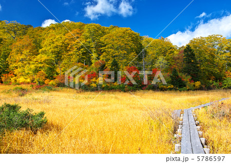 秋田　鹿角市　八幡平　大場谷地 5786597