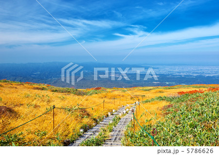 山形　庄内町　月山　弥陀ヶ原 5786626