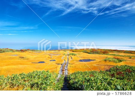 山形　庄内町　月山　弥陀ヶ原 5786628