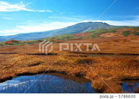 山形　庄内町　月山　弥陀ヶ原 5786630