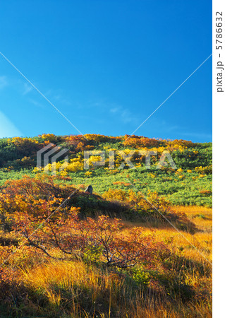 山形 庄内町 月山 弥陀ヶ原 山形 庄内町 月山 弥陀ヶ原 5786632
