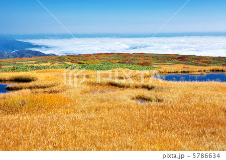 山形　庄内町　月山　弥陀ヶ原 5786634