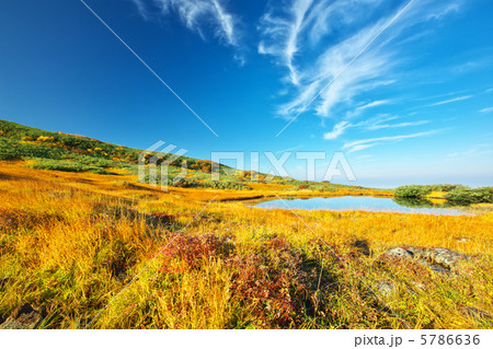 山形　庄内町　月山　弥陀ヶ原 5786636
