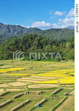 山形 朝日町 椹平 山形 朝日町 椹平 5786644