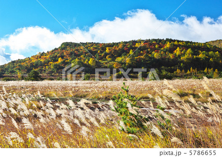 福島　福島市　浄土平 5786655