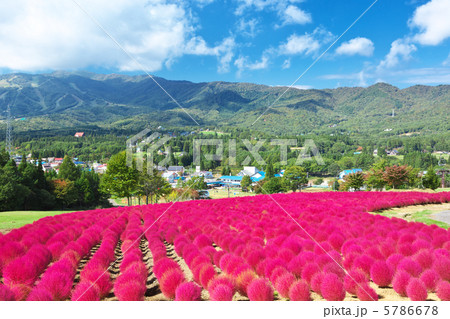 岐阜　郡上市　ひるがの高原 5786678