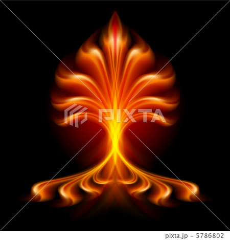Fire flower Fire flower 5786802
