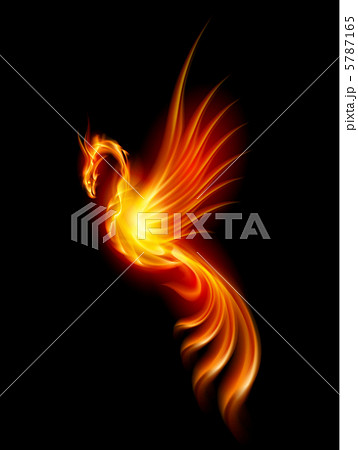 Burning phoenix 5787165