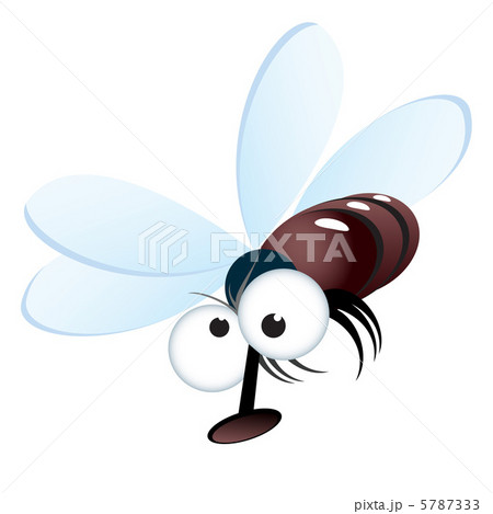 Cartoon style illustration of a fly 5787333