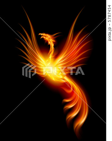 Burning phoenix 5787454