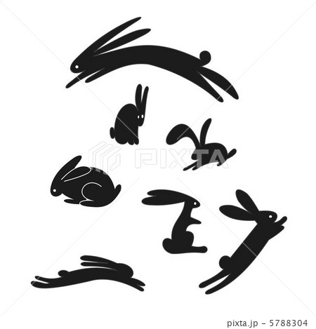 Rabbit 5788304
