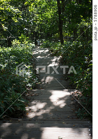 釧路湿原 釧路湿原 5788906