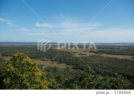 釧路湿原 釧路湿原 5788908