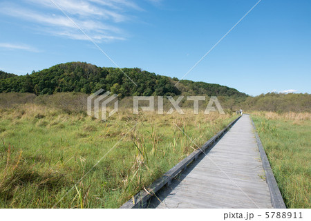 釧路湿原 5788911