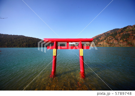 志賀高原の大沼池 5789748