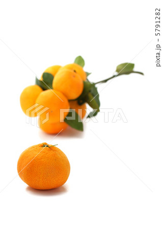 みかん みかん 5791282