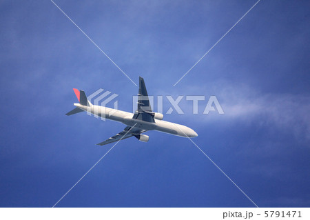大空に羽ばたく 5791471