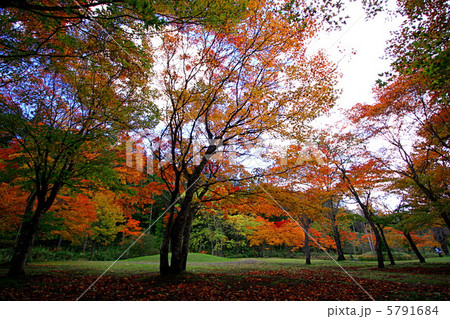 福原山荘 5791684