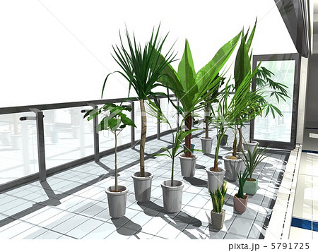 観葉植物1bのイラスト素材