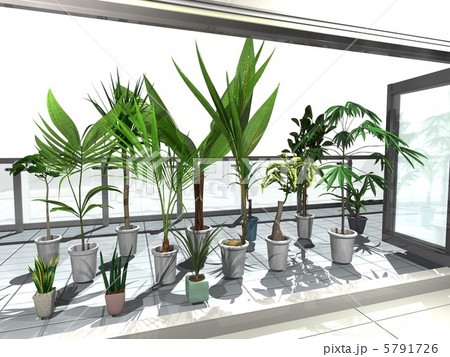 観葉植物1aのイラスト素材