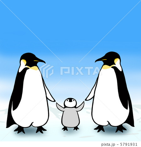 ペンギンの親子カラーのイラスト素材 5791931 Pixta