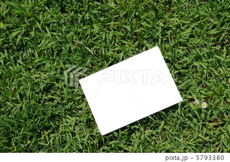 芝生においたボードと花 芝生においたボードと花 5793380