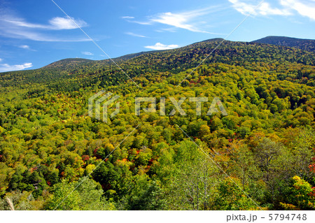 錦平の紅葉 錦平の紅葉 5794748