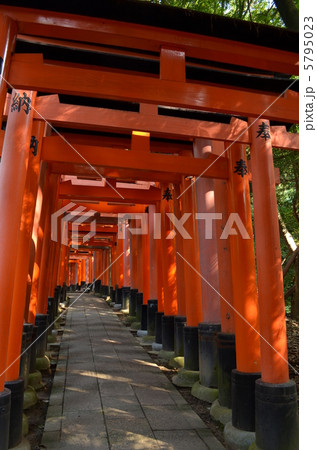 千本鳥居 5795023