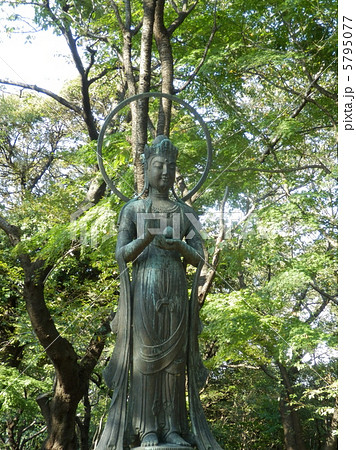 林の中の聖観音像 5795077
