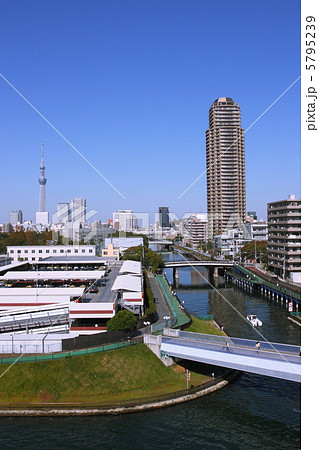 小名木川と東京スカイツリー 5795239