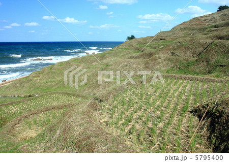 白米千枚田 5795400