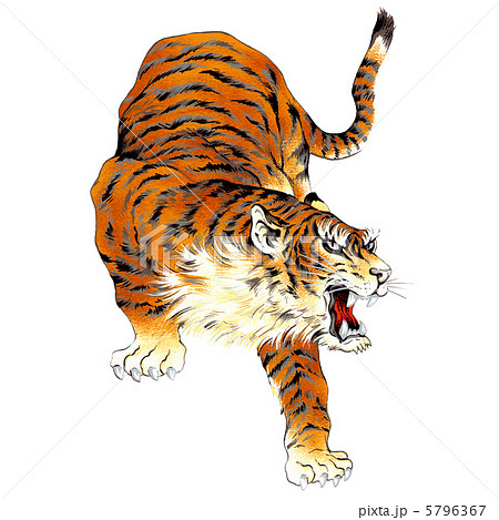 日本画の虎のイラスト素材