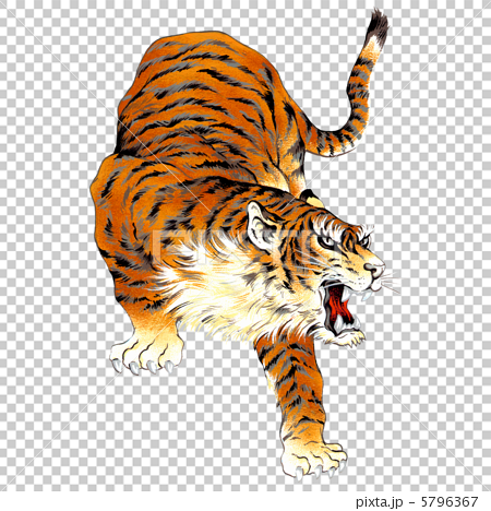日本画の虎のイラスト素材
