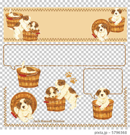 可愛的狗的頭 可愛的狗的頭 5796368