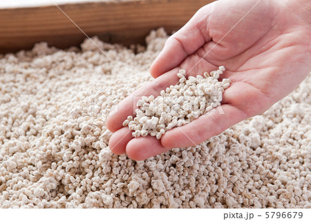 麦麹 麦麹 5796679