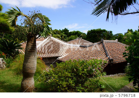 中村家住宅の屋根 5796718