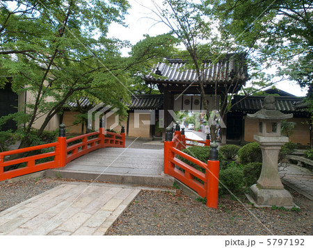 京都・今宮神社 5797192