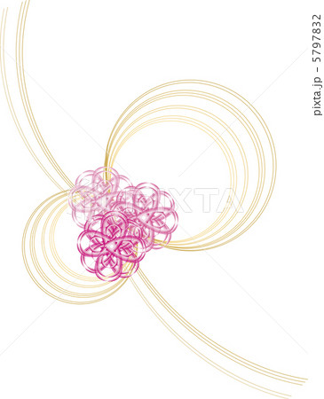 お花の水引 5797832