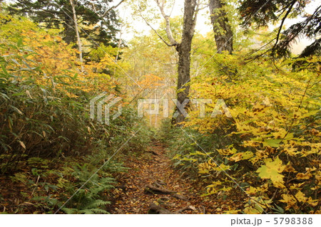 あきみち 5798388