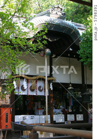 京都　白峯神宮　拝殿 5798391