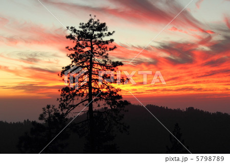 セコイア国立公園の夕暮れ 5798789