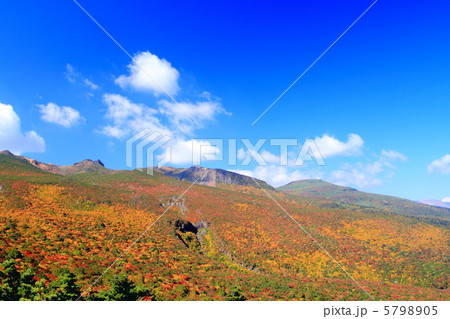 安達太良山の紅葉 安達太良山の紅葉 5798905